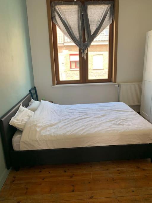 Burgerwoning Bij Brugge Villa Ngoại thất bức ảnh